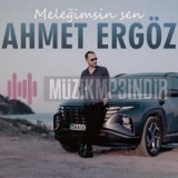 Ахмет Ергоз