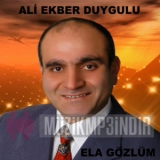 Али Екбер Дуйгулу