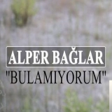 Алпер Баğлар