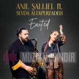 Аныл Шаллыел