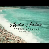 Айдын Арслан