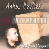 Айдын Озтурк