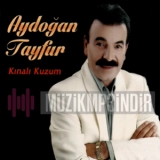 Айдоğан Тайфур