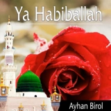 Айхан Бирол