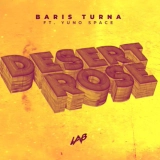 Барыш Турна