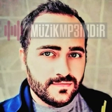 Баркын Берке