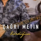Чаğры Метин
