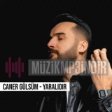 Cанер Гулсум