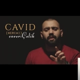 Cавид Тагизаде