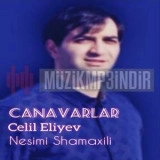 Cелил Елийев