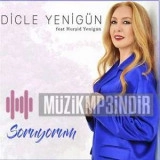 Диcле Йенигун