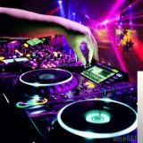 Диско Шаркылары