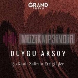 Дуйгу Аксой