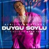 Дуйгу Сойлу