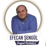 Ефеcан Шенгул