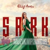 Елиф Авcы