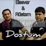 Елсевер Гойcайли