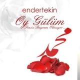 Ендер Текин