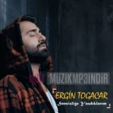 Ергин Тогаcар