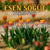 Есен Соğут