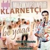 Фехми Унлуяйла