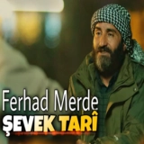 Ферхад Мерде