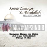 Феридун Ероğлу