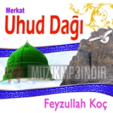 Фейзуллах Коч