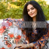 Гизем Шахин