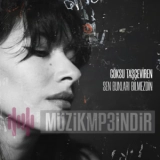 Гоксу Ташчевирен