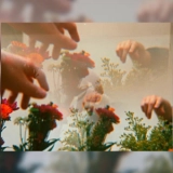 Хакан Озгоз