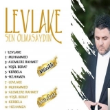 Хасан Дурсун