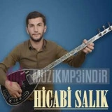 Хиcаби Салык
