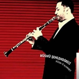 Хусну Шенлендириcи