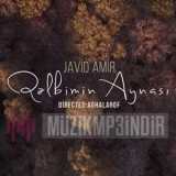 Жавид Амир