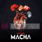 Мача