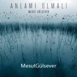 Месут Гулсевер