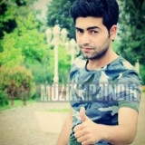 Мурад Елизаде