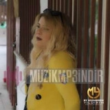 Нилай Сойлу