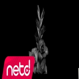 Онур Енсерт