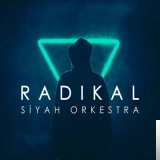 Радикал