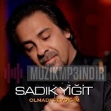 Садык Ыğит