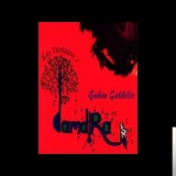 Шахин Чокбилир