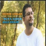 Сечкин Арслан