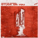 Сердар Бингол