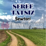 Шереф Тацыз