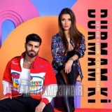 Шейда Айдын