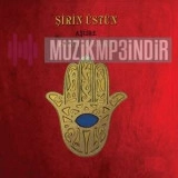 Ширин Устун