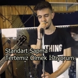 Стандарт Сапма