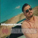 Сулейман Кыван